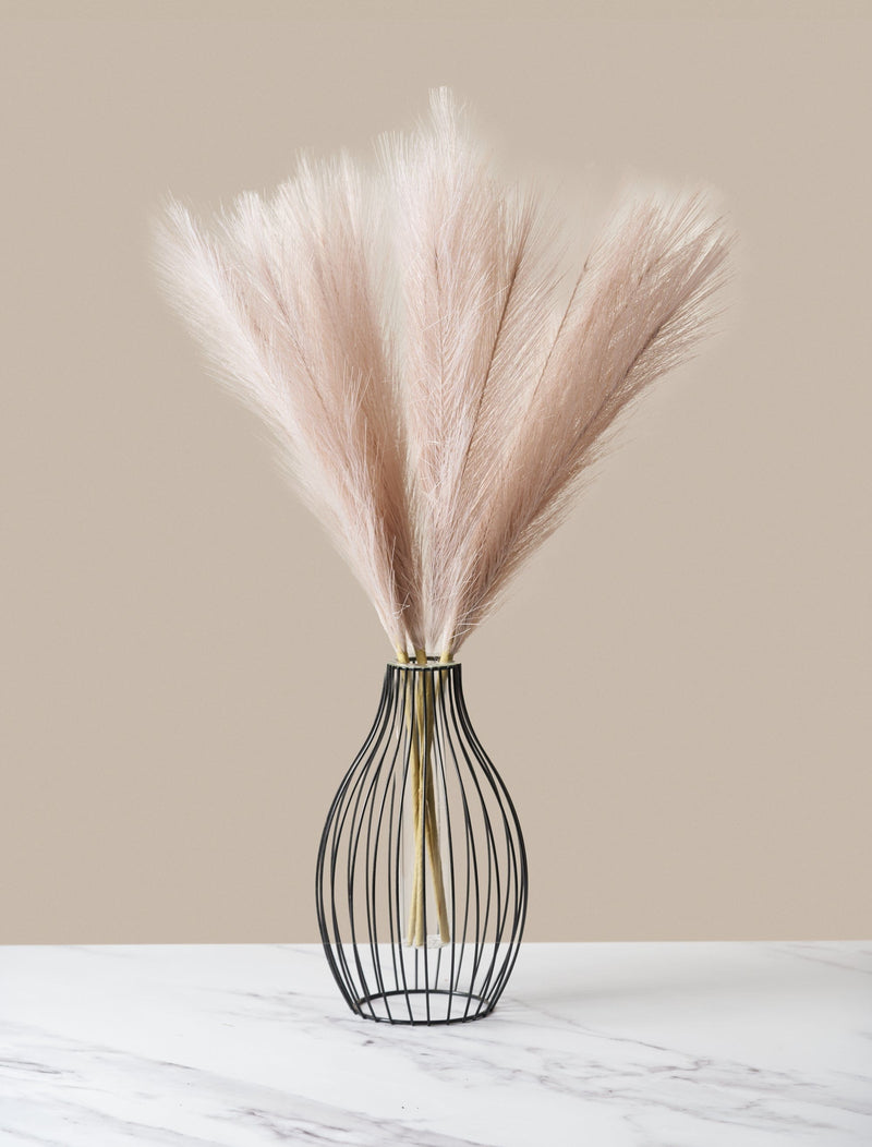 Faux Pampas Grass - Cream (5 Stems)