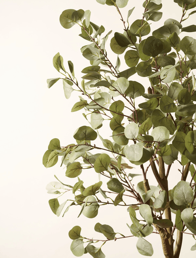 Faux Eucalyptus Tree 160cm / 5ft 2"