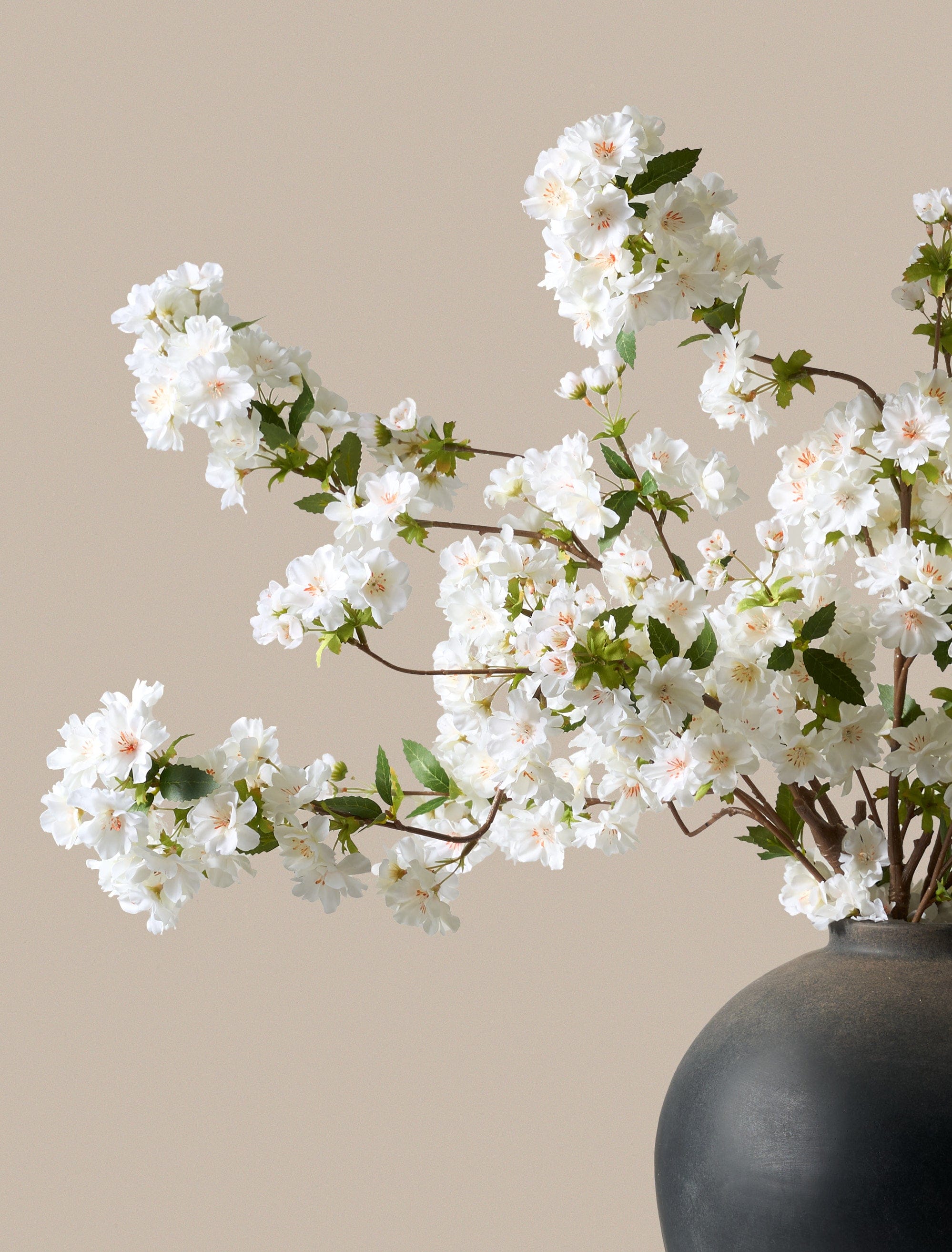 Faux Japanese Cherry Blossom - White (6 Stems) – contempee