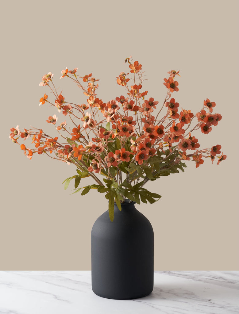 July_1024x1024.jpg?v=1748849456