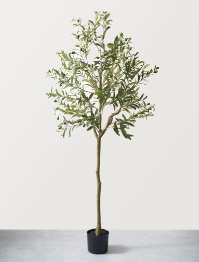 Faux Olive Tree 160cm / 5ft 2"