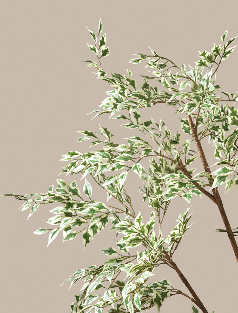 Faux Ficus Anastasia Tree – contempee