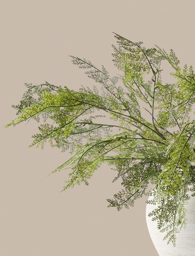 Faux Arrangement - Winter Fern Stems (5 Stems)