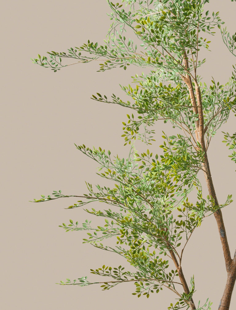 Faux Ruscus Tree (Indoor or Outdoor)