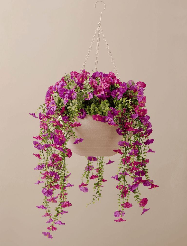 Outdoor Hanging Petunia Basket - Purple