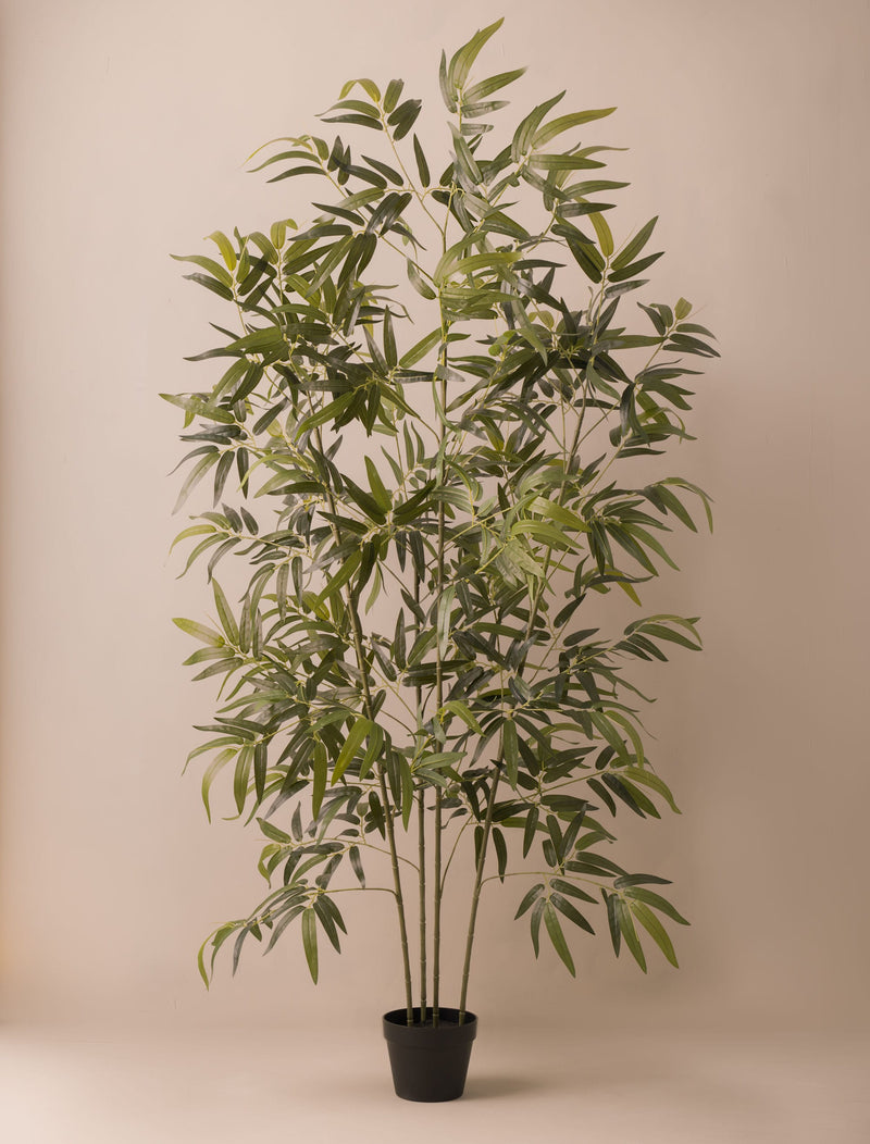 Faux Bamboo Tree (Indoor or Outdoor) 172cm / 5ft 8in – contempee
