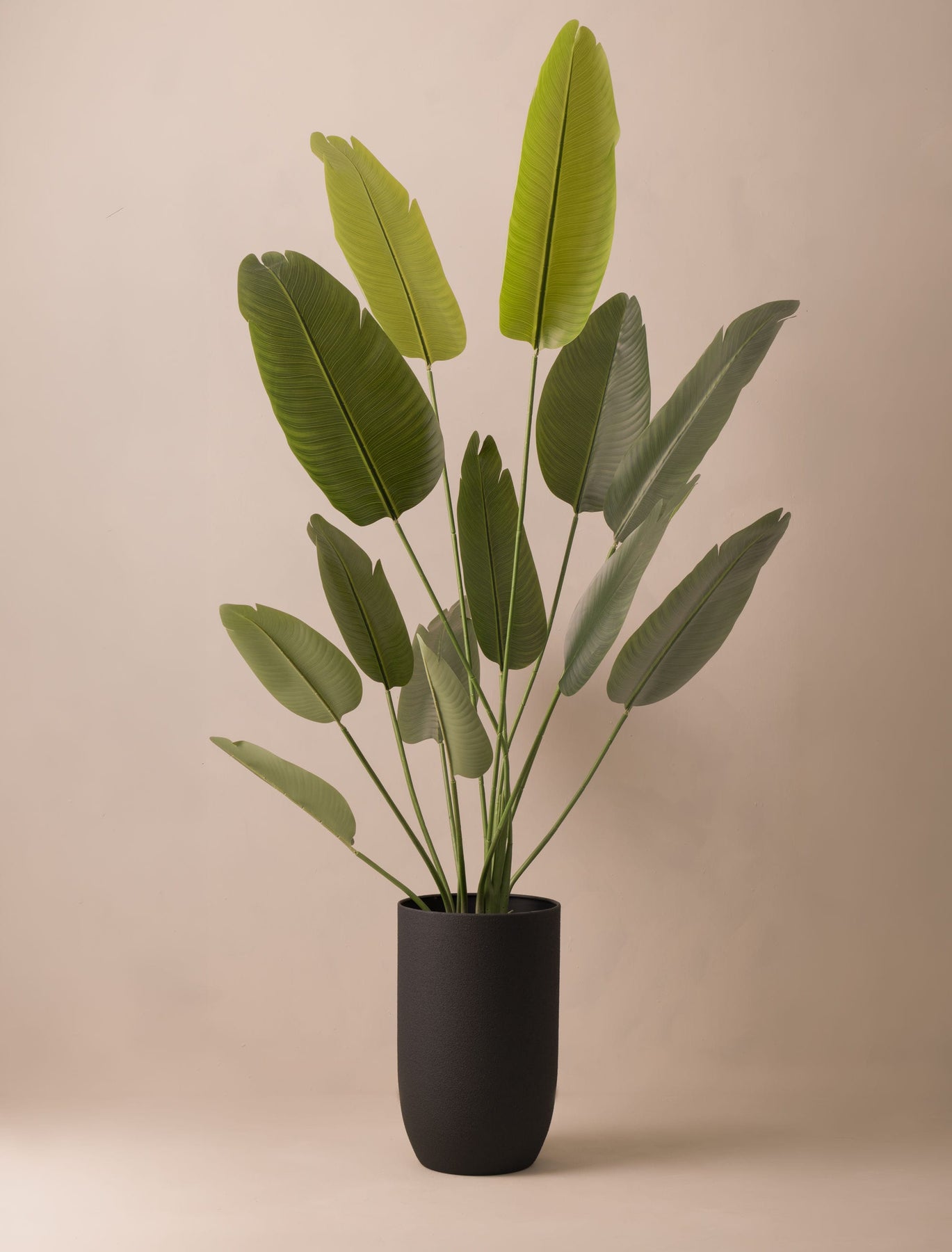 faux indoor plants large Faux Outdoor Birds Of Paradise Tree (Indoor or Outdoor) 180cm / 5ft 11 – contempee