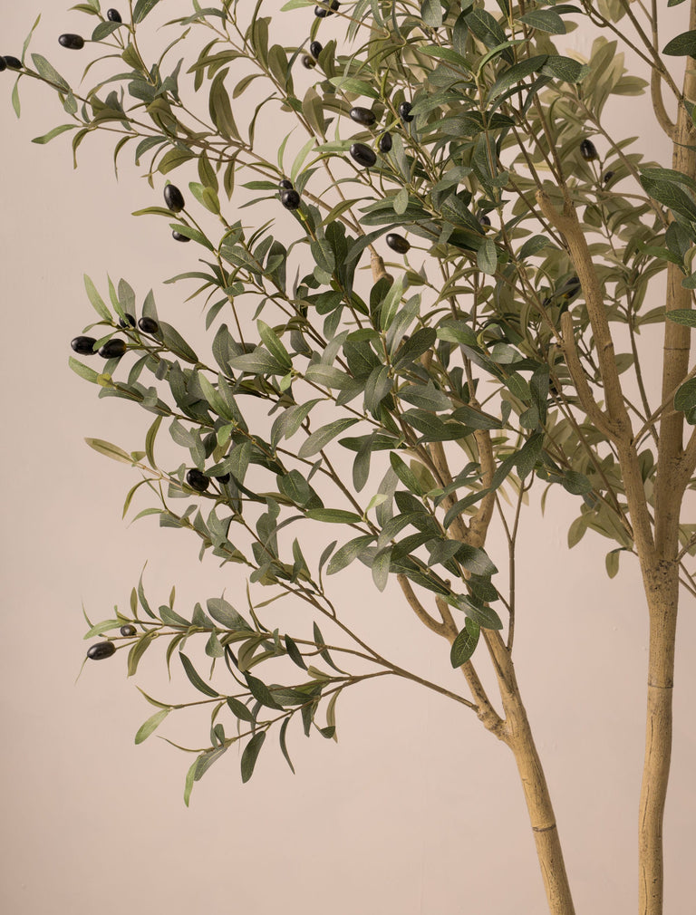 Faux Outdoor Mediterranean Olive Tree (Indoor or Outdoor) 200cm / 6ft 7in