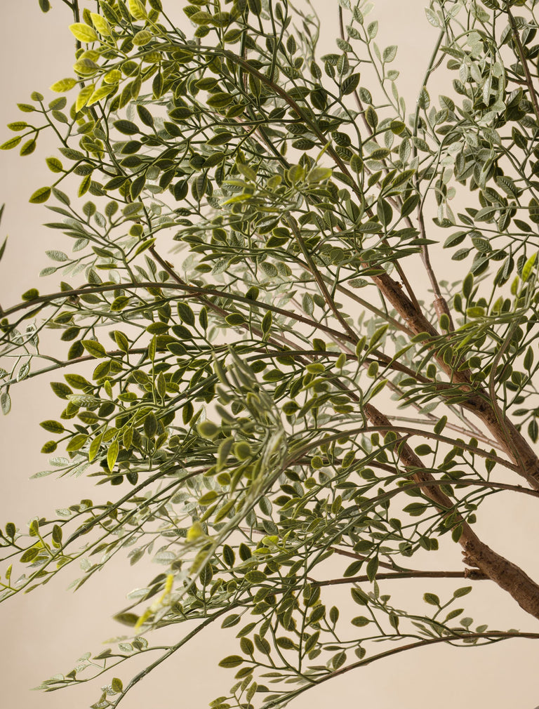 Faux Oversized Ruscus Branch (2 Branches)
