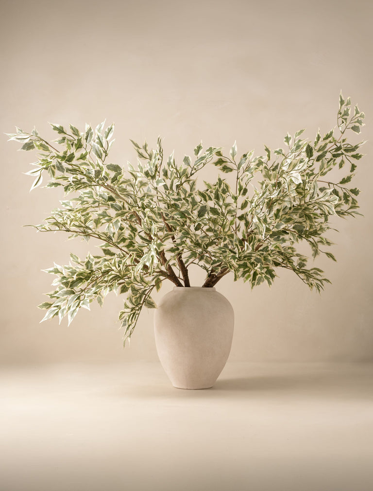 Faux Oversized Ficus Anastasia Branch (2 Branches)