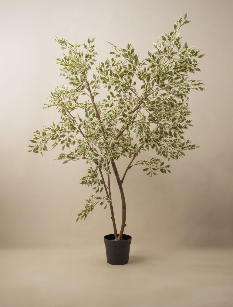 Faux Ficus Anastasia Tree