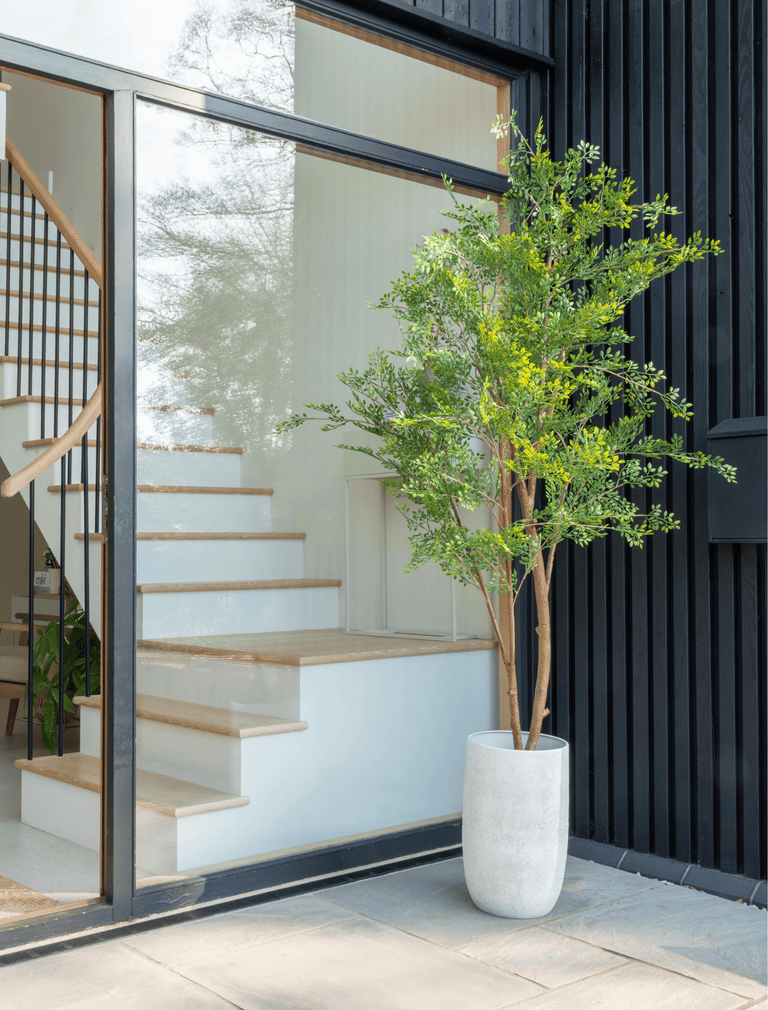 Faux Ruscus Tree (Indoor or Outdoor)