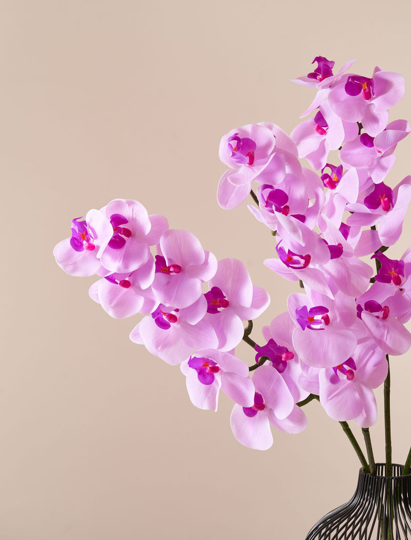 Faux Orchid - Magenta (4 stems)