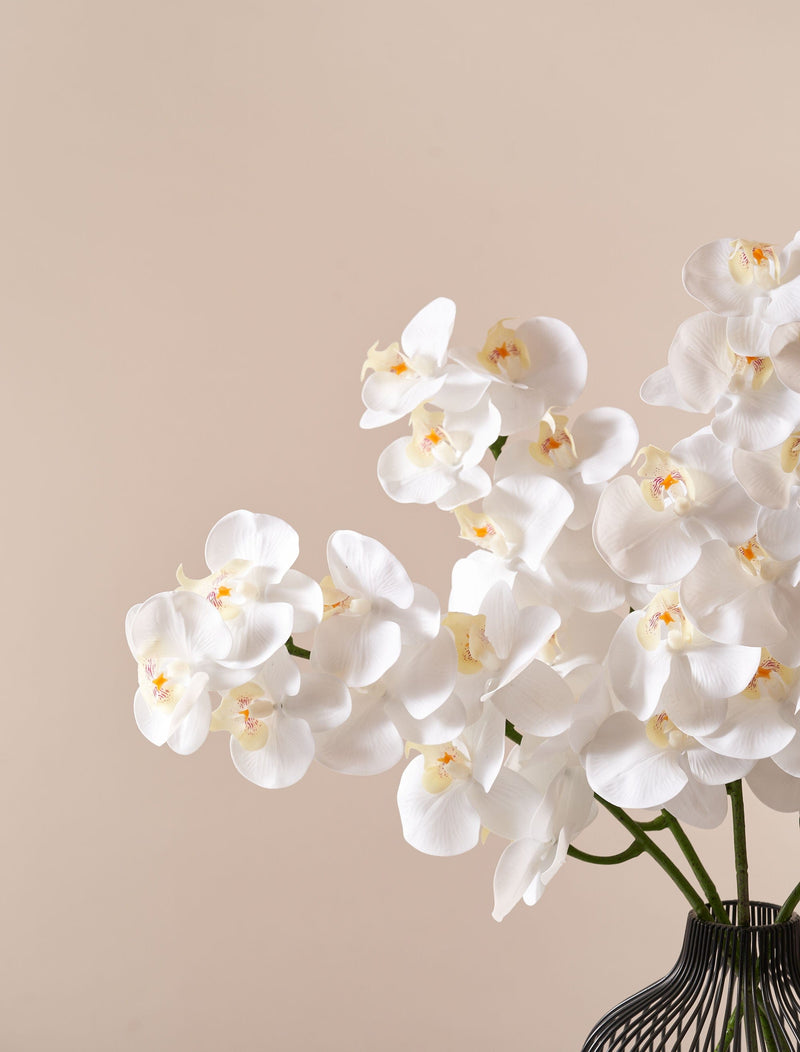 Faux Orchid - White (4 stems)