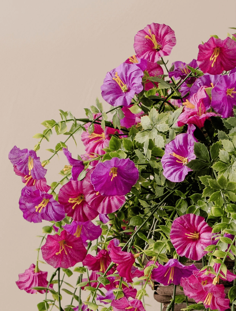 Outdoor Hanging Petunia Basket - Purple