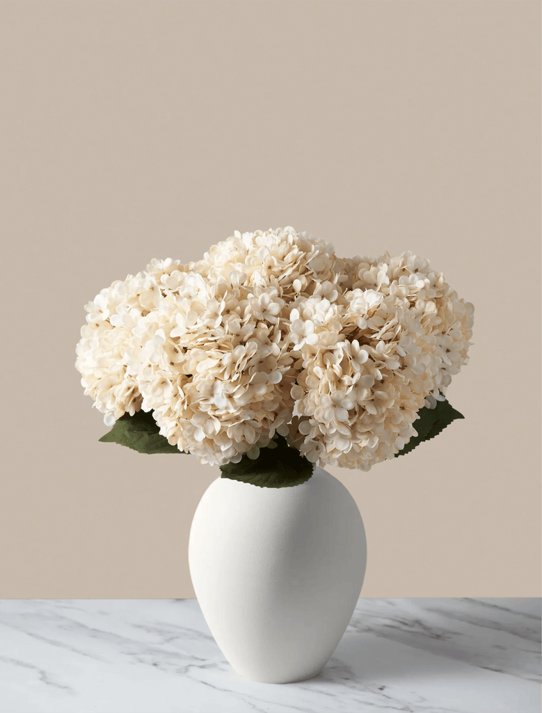 hydrangea-cream-