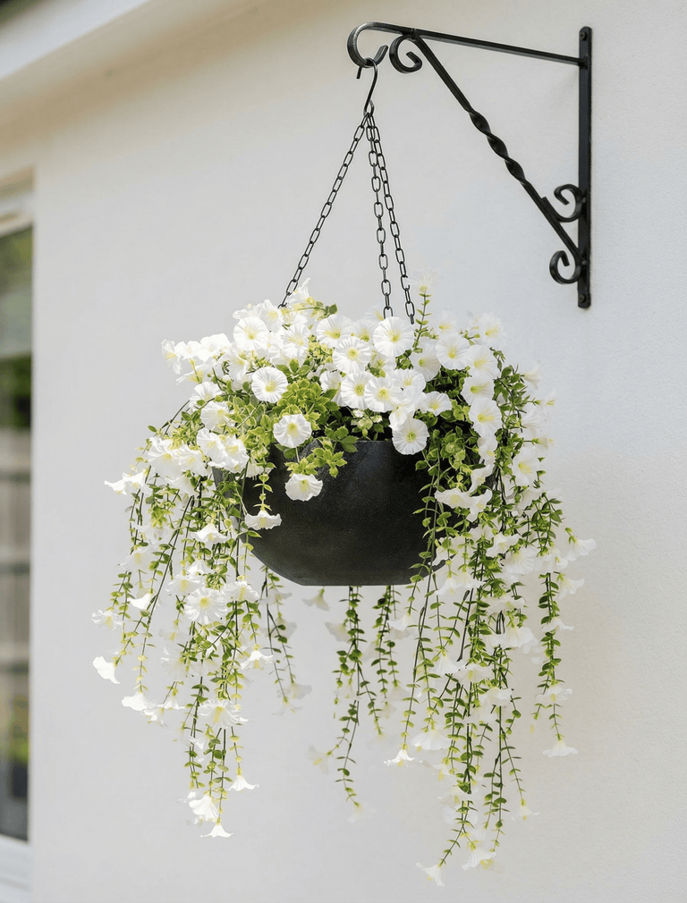 Iris Iron Hanging Basket - Black